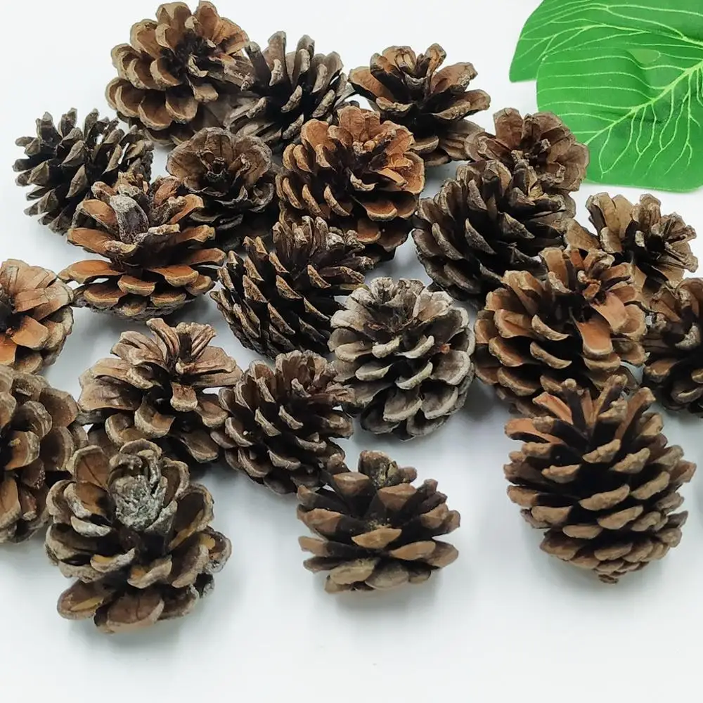 Шишки из натуральной сосны для рождественского декора 20 шт. | Дом и сад