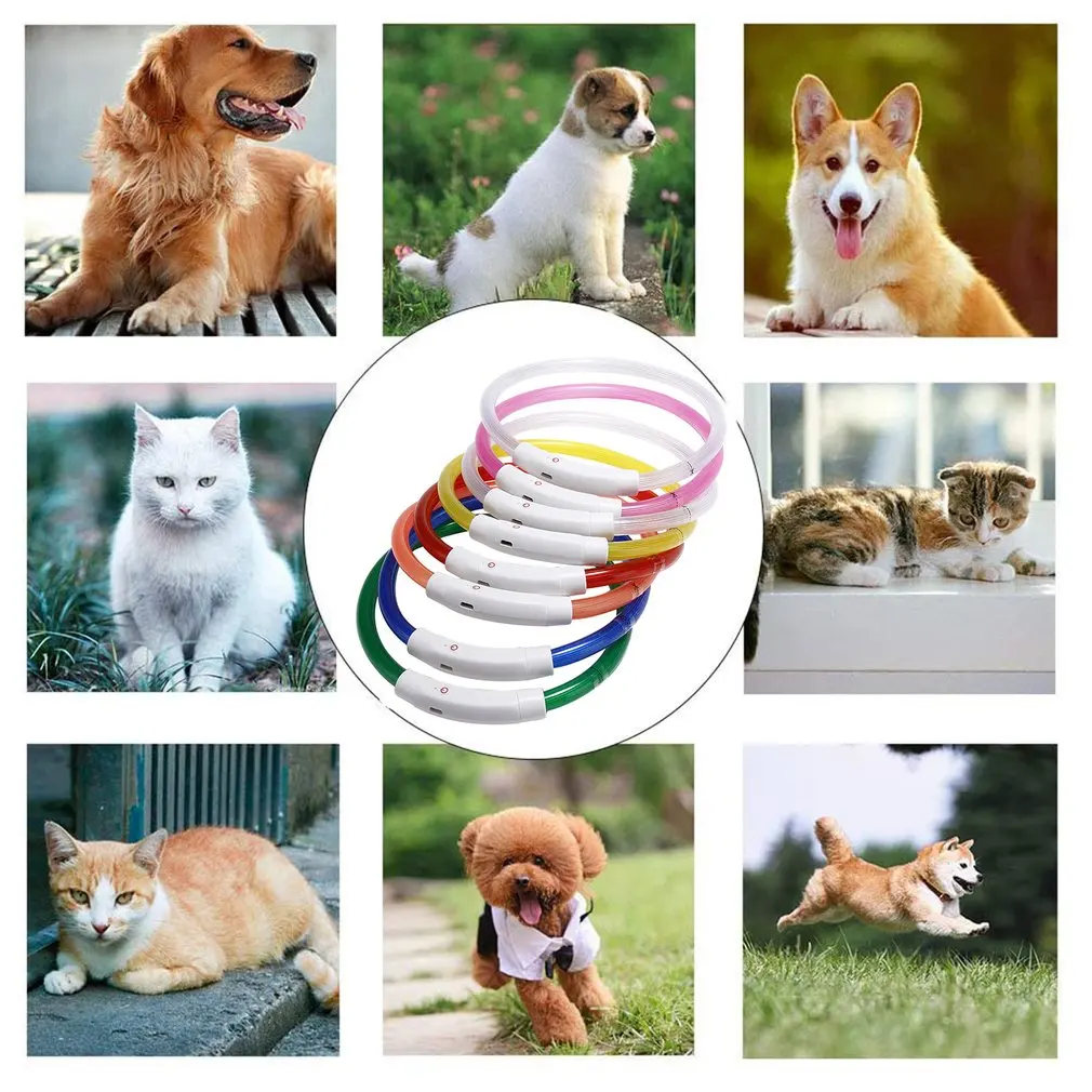 Ошейник для домашних животных со светодиодной подсветкой и USB-зарядкой | Дом сад