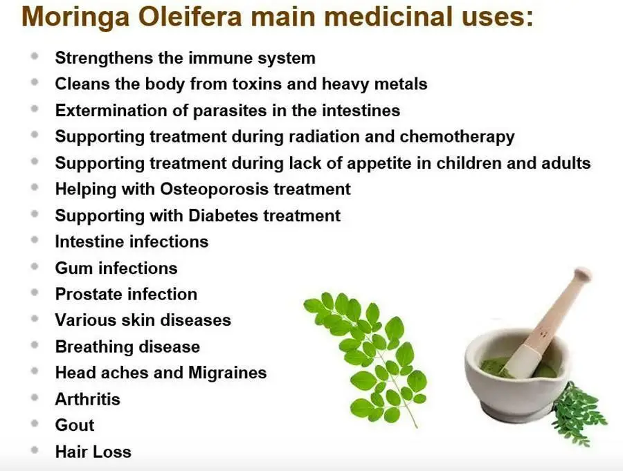

100g/200g/500g/1000g Moringa Powder Organic Oleifera Leaf Natural Pure Non GMO