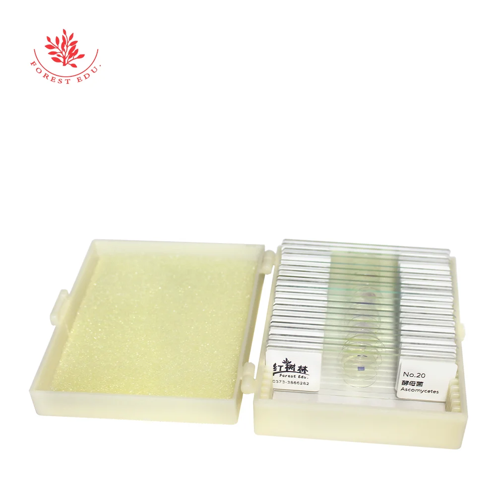 Микроскоп слайды бактерий/смешанные подготовленные 20 шт./компл. | Канцтовары для