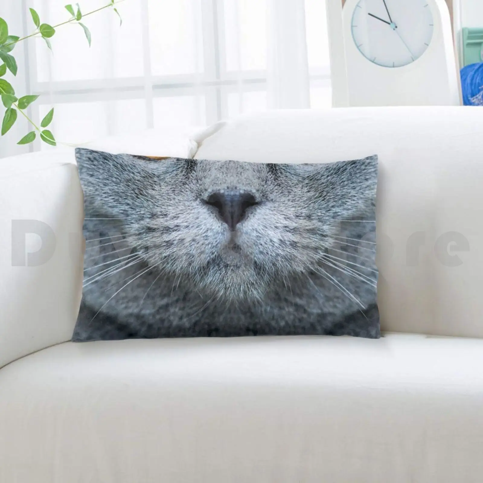 Чехол-Подушка с изображением серых кошек и лица 50x75 британский короткий взгляд