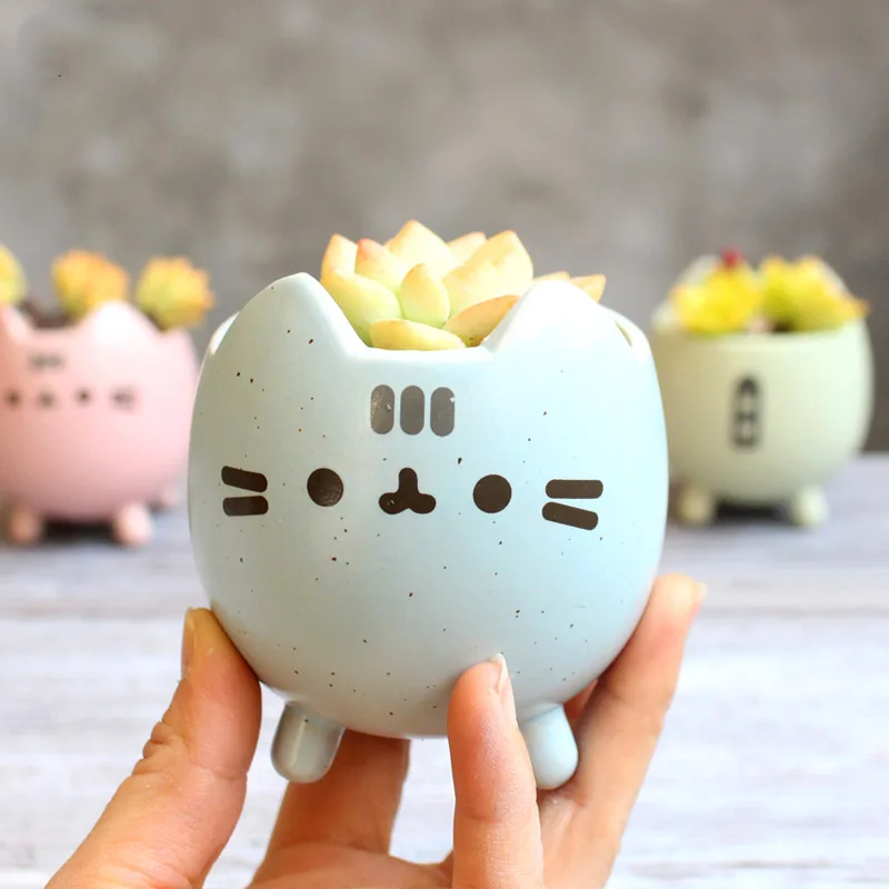 

Succulent Plant Pot with Hole Cute Animal Flower Planter Flowerpot Lovely Little Cat Home Garden Decor Bonsai Pots Birthday Gift