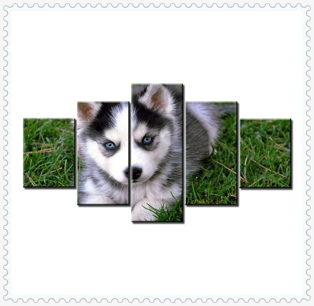 

HD 5 Pieces Cute Pet Dog Pictures Posters Wall HD Art Home Decor for Living Room Painting on The Wall Pet Dog Pictures Wall Art