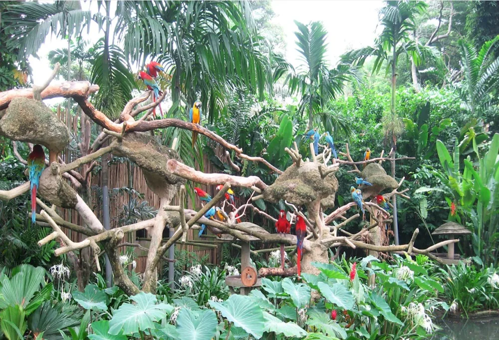 

Виниловый фон для фотостудии 7 Х5 футов тропический лес попугаи ветка Буша пользовательский фон 220 см x 150 см