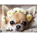 Новые камни в форме ромба 5D Diy алмазная живопись милый Алмазная вышивка собаки чихуахуа, вышитая бисером стразы набор для рисования с круглыми камнями и полотном мозаичного искусства