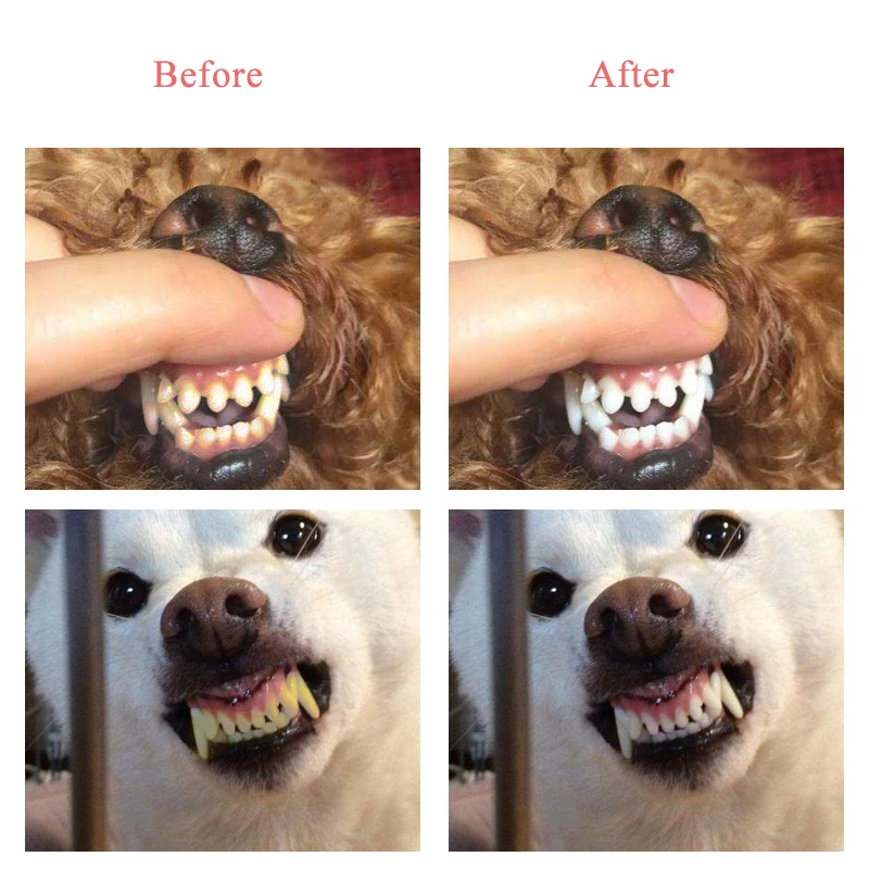 

Three Sided Dog Pet Toothbrush Bad Breath Tartar Teeth Care For Cat Dog Tooth Cleaning Brush Soft Pet Toothbrush