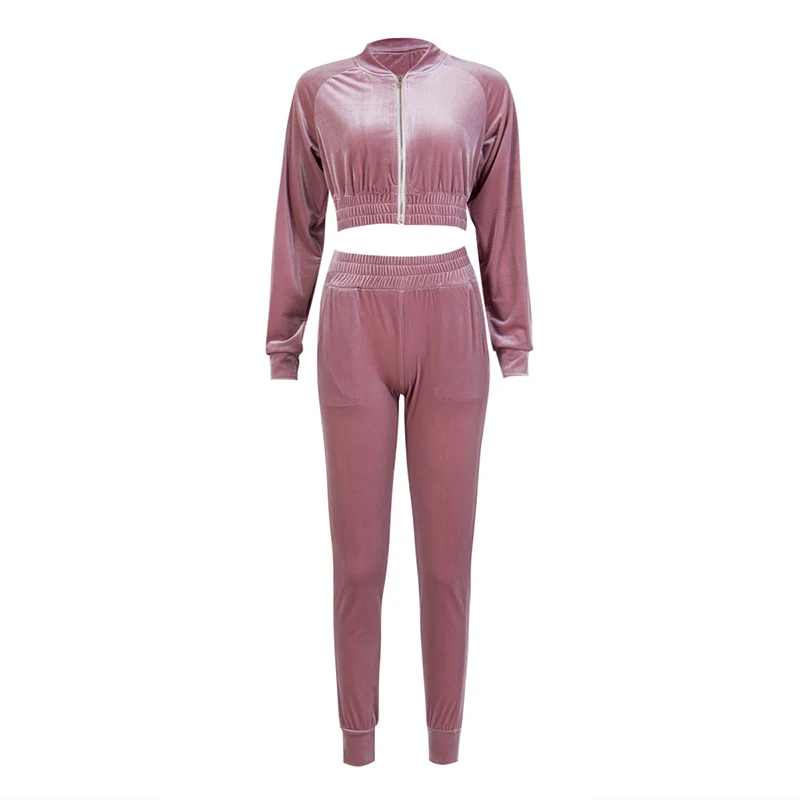 

2019 Autumn Winter Clothes Fashion Women Sweatshirt Crop Top Pants Sets Velvet Tracksuit Velour smooth soft Suit Women 2Pcs Set
