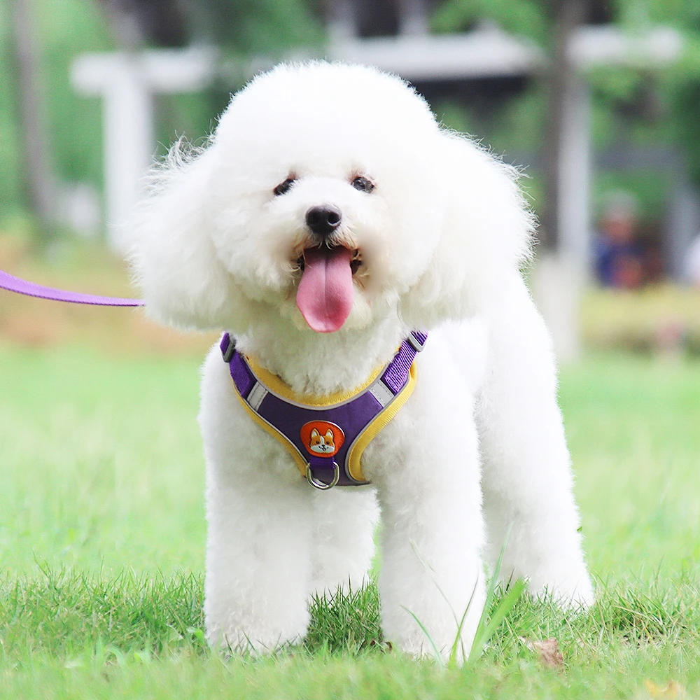 Регулируемая шлейка для собак не тянется милый щенок кошка мягкий поводок