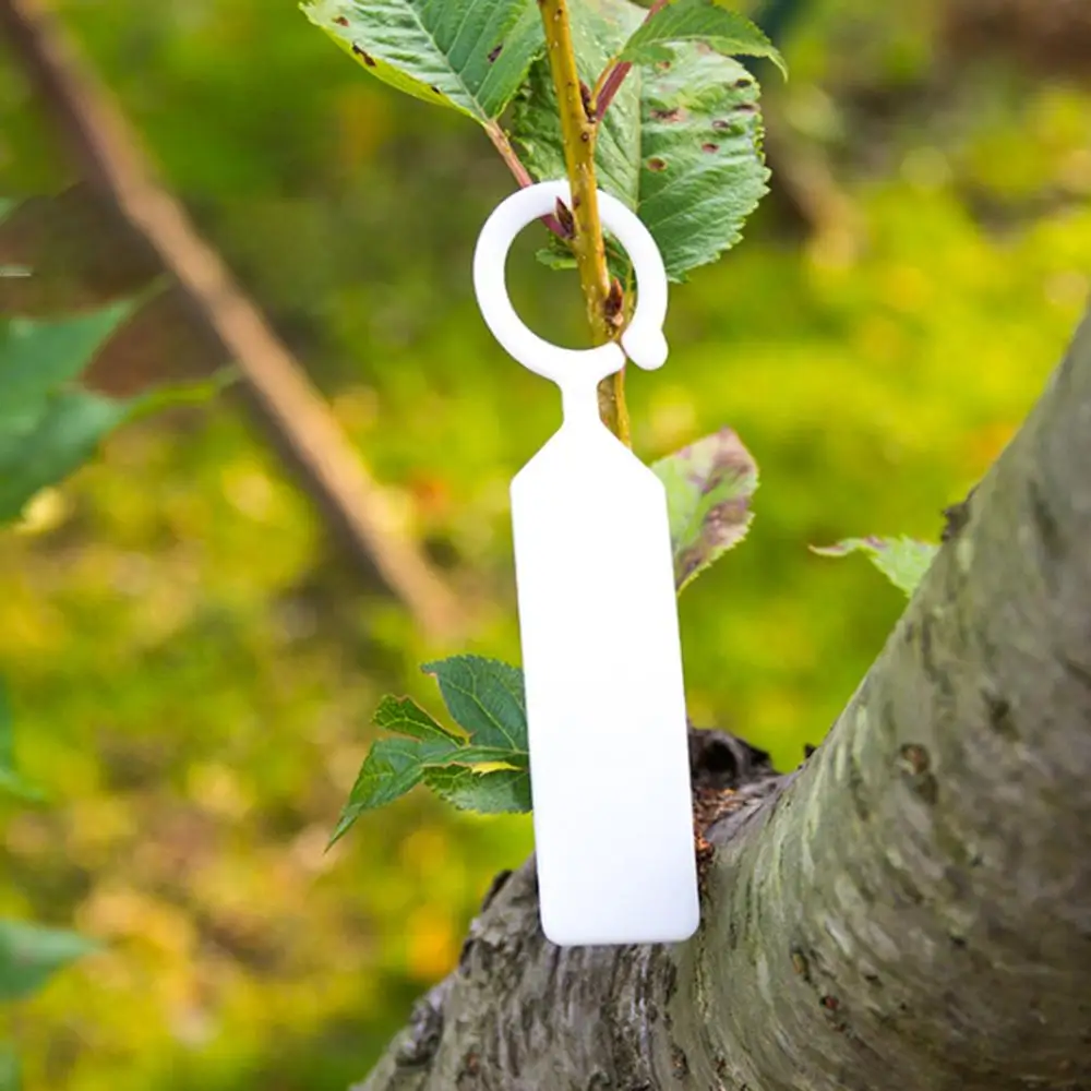 

100PCS/Set Garden Plant Pot Markers Ring Plastic Hanging Labels Reusable Waterproof Thick Hook Tree Tags Decoration Tool