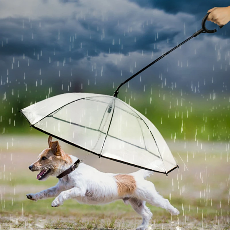 

Новый креативный зонт для домашних животных, товары для питомцев, Зонт от дождя, снаряжение от дождя для собак, водостойкий и холодный