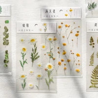 chrysanthemum pet hand account transparent korean sticker bag waterproof refrigerator small fresh plant decoration sticker