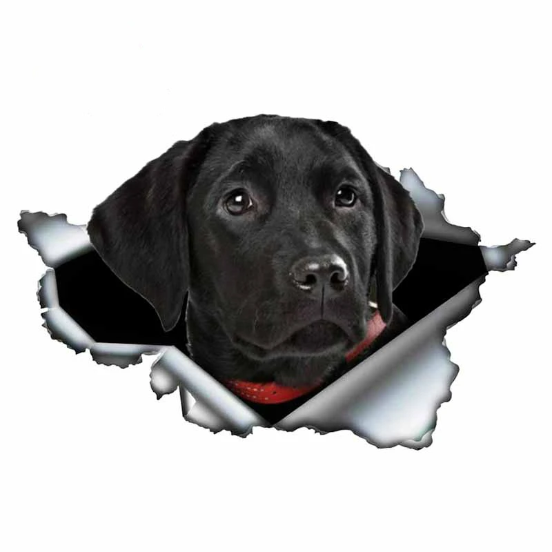 JuYouHui внешние аксессуары наклейка Лидер продаж яркие 3D стикер на машину с собакой