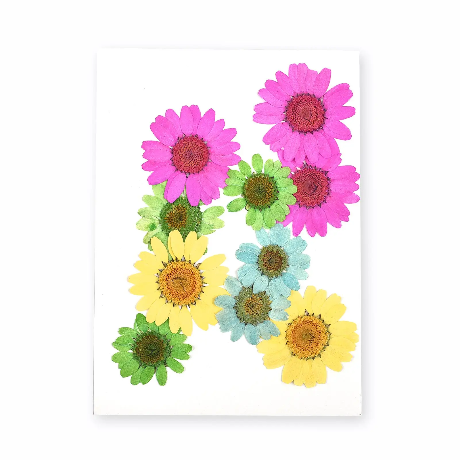 

10 Pieces/Bag Of Dried Flowers UV Resin Filler UV Epoxy Resin Flowers For Nail Art DIY Floral Chrysanthemum Embossing Crafts