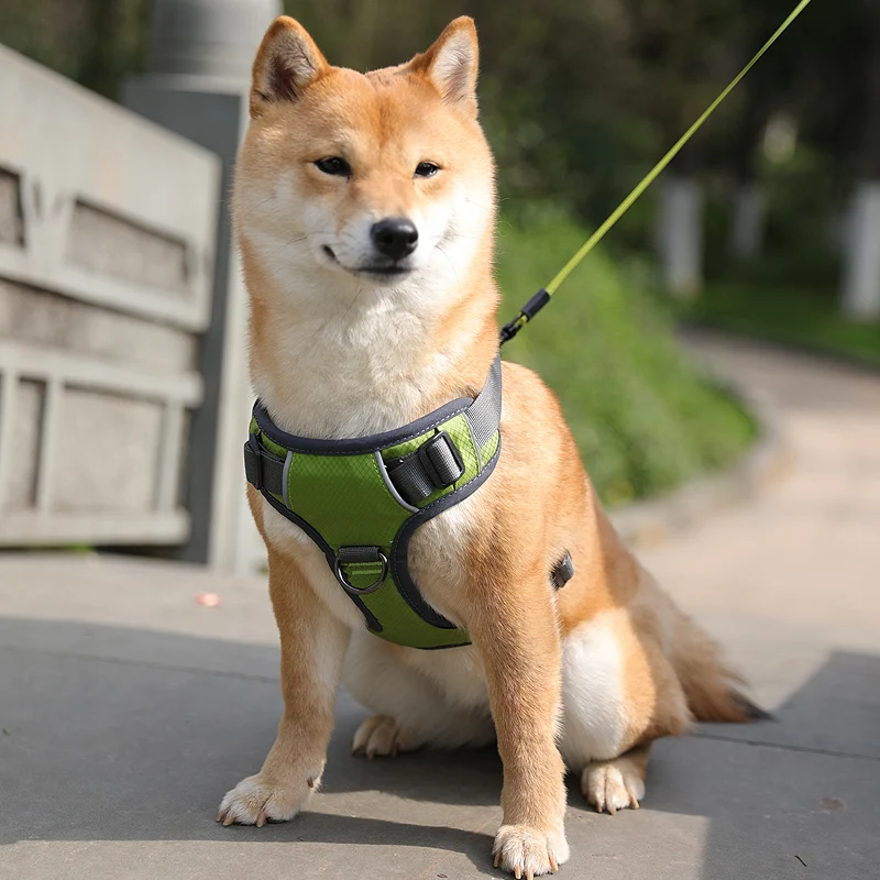 Средний очень маленькая шлейка для больших собак жилет изящный защитный чехол