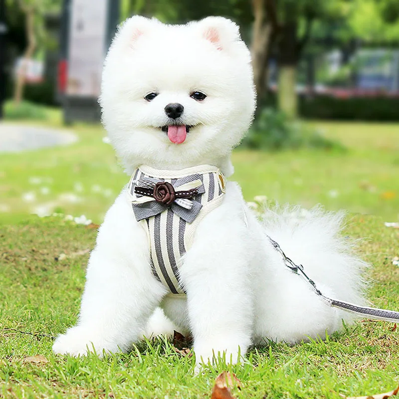 

Reflective Stripe Dogs Vest Harnesses Outdoor Walking Breathable Vest With Leash Dogs Clothes Adjustable Harnesses Dog Supplies