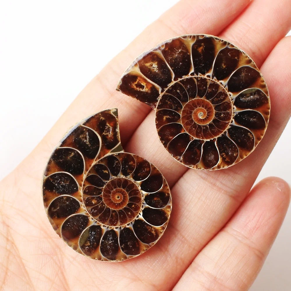 2 шт. подвеска в виде скорлупы|Камни| |