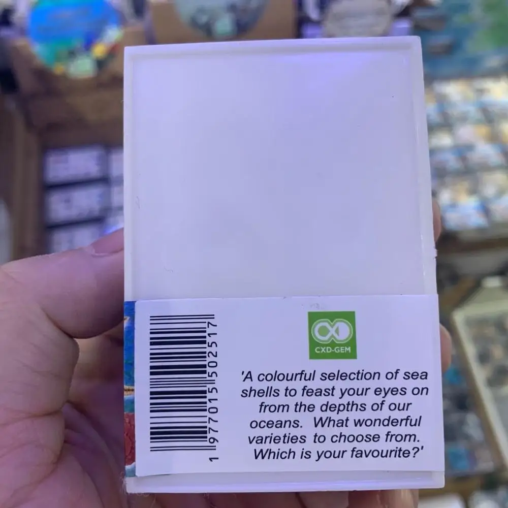 

natural shell beads box for collector