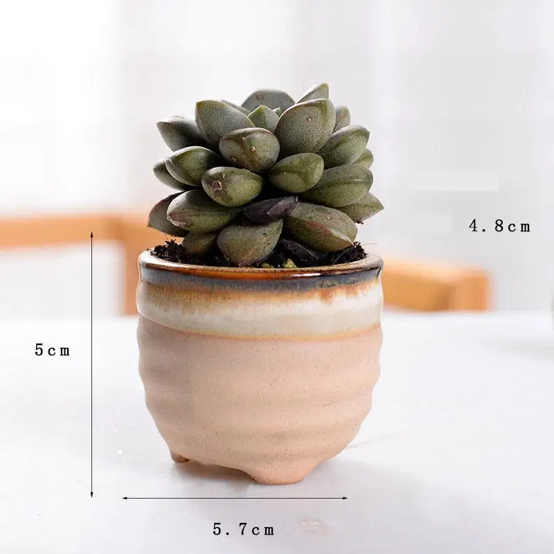 

6Pcs/Set Ceramics Flower Pot Succulents Ceramic Thumb Pot Kiln Variable Flow Glaze Succulent Small Flower Pots Desktop Ornaments