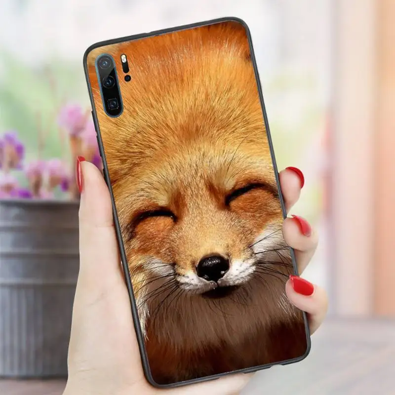 

Fox cute animal Phone Case For Huawei honor Mate P 10 20 30 40 i 9 8 pro x Lite smart 2019 nova 5t