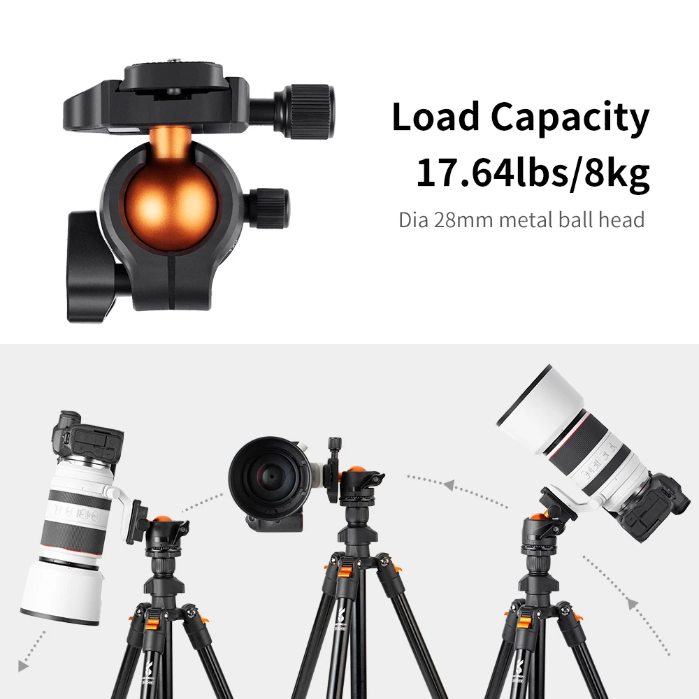 K&F Concept 62.99 Inch Camera Tripod for DSLR Portable Aluminum Travel Tripod with 360 Degree Panorama Ball Head Quick Release enlarge