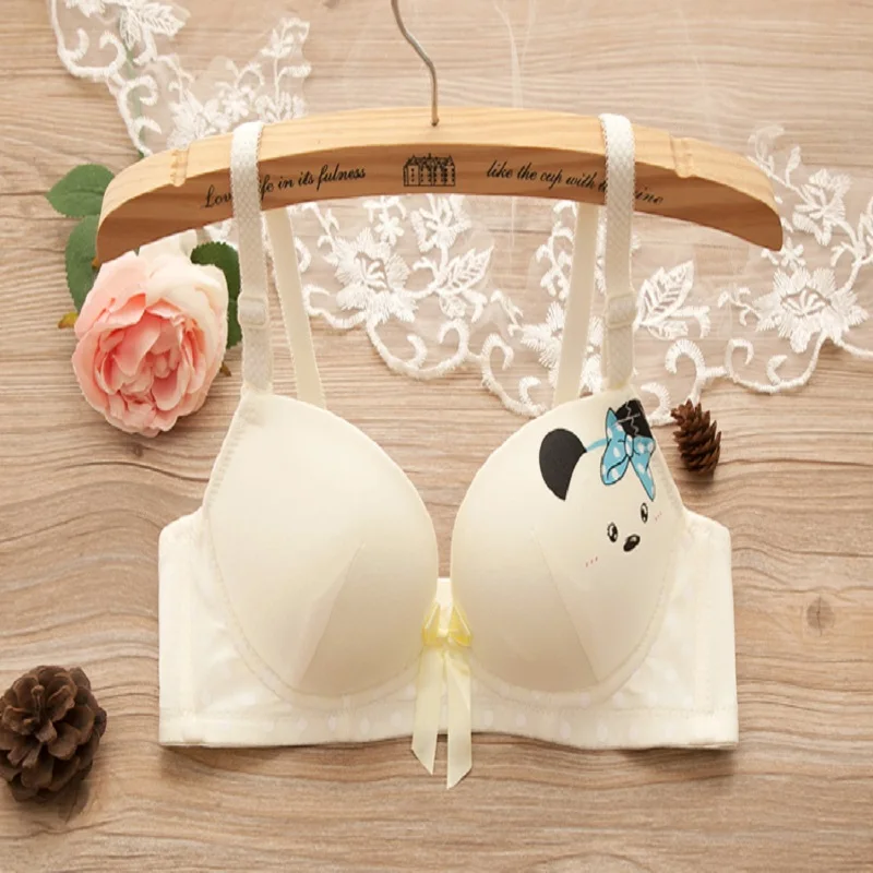 

3 Colors Japanese Cute Panda Bra Women Cotton Underwear Sweet Comfortable Bra Sexy Lady Push Up Thin Bra