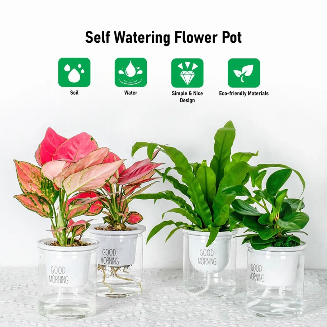 

2 Lazy Flower Pots With Automatic Water Absorption Transparent Round Plastic Hydroponic Flower Pots Drop Shipping