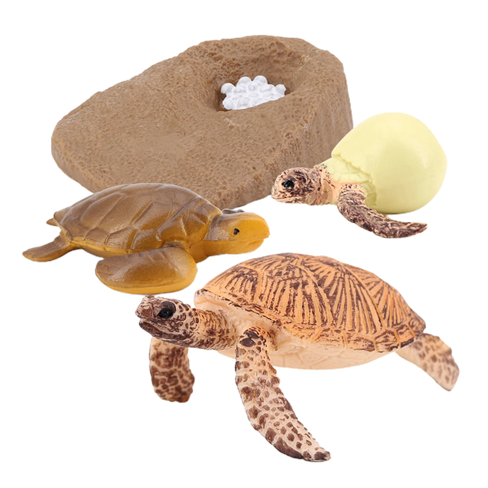 Modelo de ciclo de vida para tortuga marina, 4 etapas de crecimiento, educaci&oacute;n para ni&ntilde;os, juguetes cognitivos de Navidad-3
