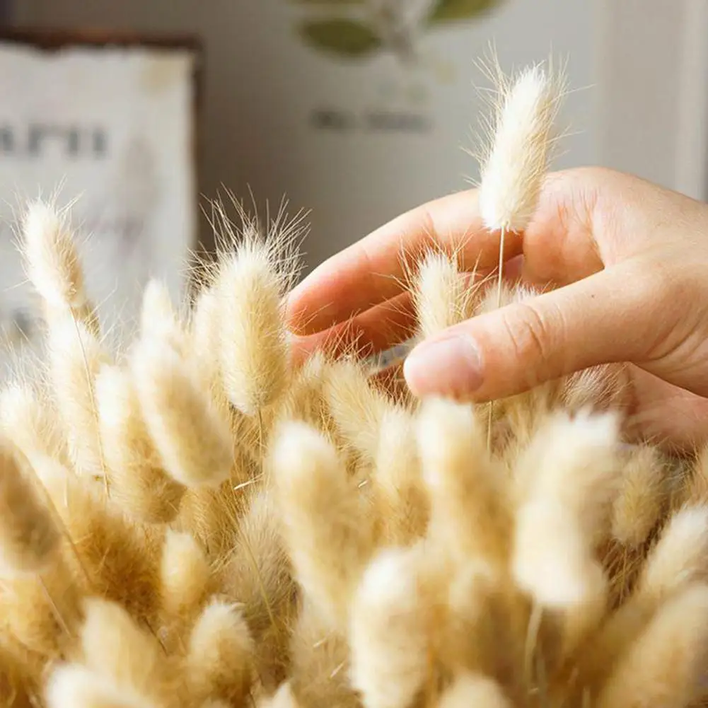 

30pcs Natural Dried Flower Color Rabbittail Bouquet Wedding Home Decoration About 35-40cm