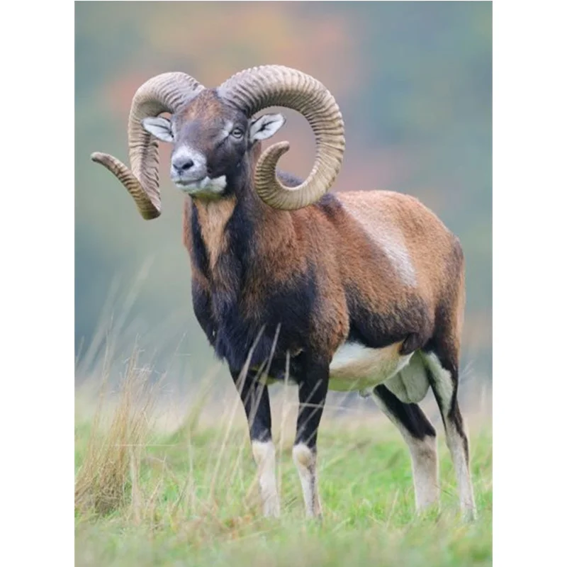 

DIY Diamond Painting Animals Mouflon Ovis Musimon Cross Stitch Kit Full Drill Embroidery Mosaic Art Picture of Rhinestones Gift