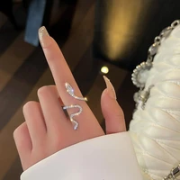 microstructed zircon wound small snake ring cold fashion fashion personality niche design essenger ring female decorative ring