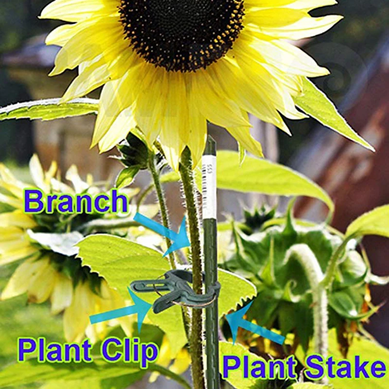 20 шт. Микс зеленый нежный Садоводство завод &amp цветок Зажимы рычаг петля вышлите