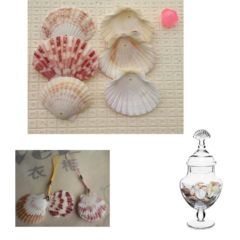 100 шт./пакет морские раковины Schelpen Coquillage Conchas Shell для украшения дома Вавилон морской домашний Морской Декор 1,5 мм гребешок