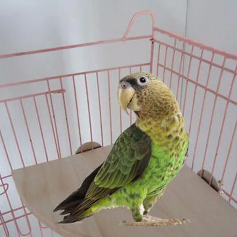 Деревянная подставка для попугаев птиц и домашних животных игрушечная хомяка