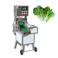 multifunctional vegetable mandoline eggplant slicer cutter machine electric fruit strip cutting dicing machinery commercial