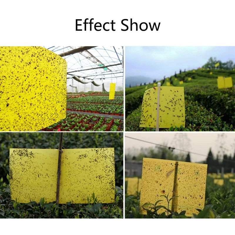 

High Quiality 1/5PCS Strong Flies Traps Bugs Sticky Board Catching Aphid Insects Pest Killer Outdoor Fly Trap For Aphids Fungus