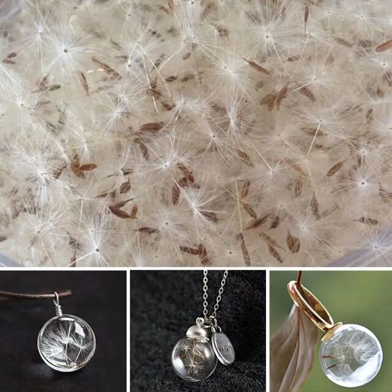 

N58F 100Pcs Natural Dandelion Seed Small Glass Ball Fillings Resin Wish Dried Pressed Flower Earrings Necklace Jewelry Making