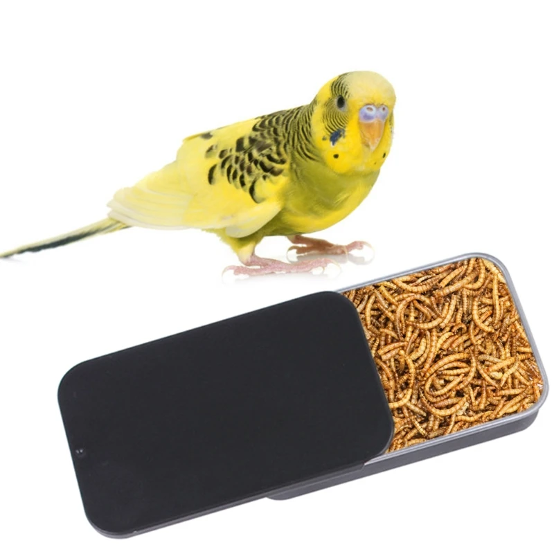 Кормушка для птиц дозатор попугаев пищевой контейнер рептилий червей коробка
