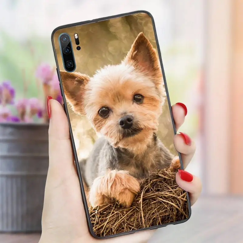

Cute animal Yorkshire Terrier dog Phone Case For Huawei honor Mate P 10 20 30 40 i 9 8 pro x Lite smart 2019 nova 5t