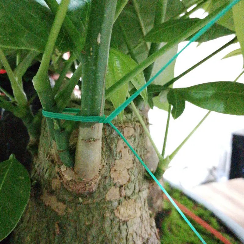 Садовая обвязка для цветов и растений фиксированная трость скалолазания