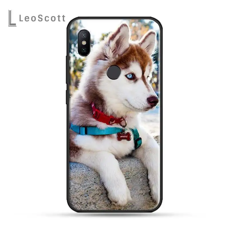 

Cute Husky dog high quality Phone Case For Xiaomi Redmi 7 8 9t a3 9se k20 mi8 max3 lite 9 note 9s 10 pro