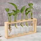 Ваза для гидропонных растений, винтажная деревянная рамка, прозрачный стеклянный цветочный горшок, настольное украшение для стола, семейного стола, бонсай