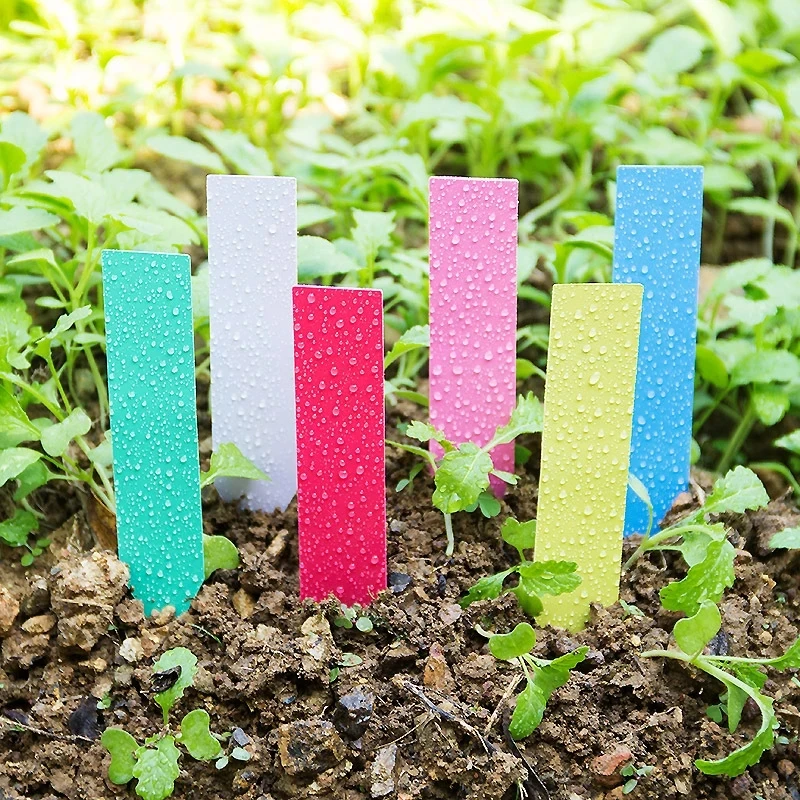 100pcs Garden Plant Labels PVC Tags Nursery Markers Flower Pots Seedling Tray Mark Tools Pot Waterproof 5x1cm | Дом и сад