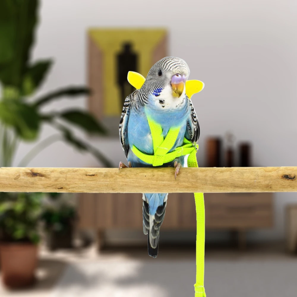 Pet Bird открытый Летающий поводок для попугая летающие плетеные ремни птиц