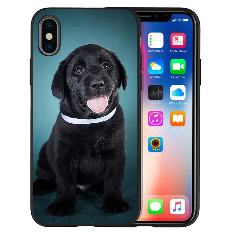 Черный милый силиконовый чехол для iPhone 12 XR XS Max 5 5S SE 2020 6 6S PLUS 7 8 X 11Pro 11 | Мобильные