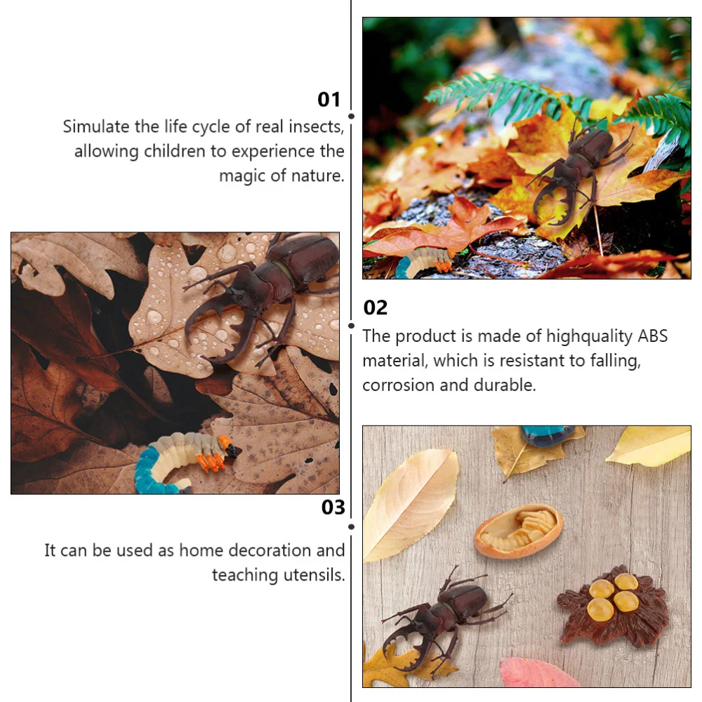

4Pcs Simulation Insect Growth Ornaments Insect Display Models for Kids