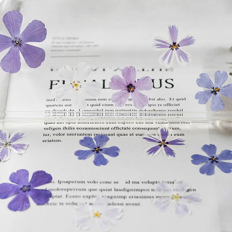 Сушеные цветы круглой формы для рукоделия бесплатная доставка 120 шт. | Дом и сад