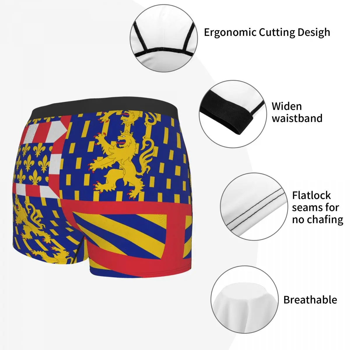 Flag Of Bourgogne-Franche-Comté Men's Boxer Briefs Flags of the regions of France Funny Novelty elastic pants for men