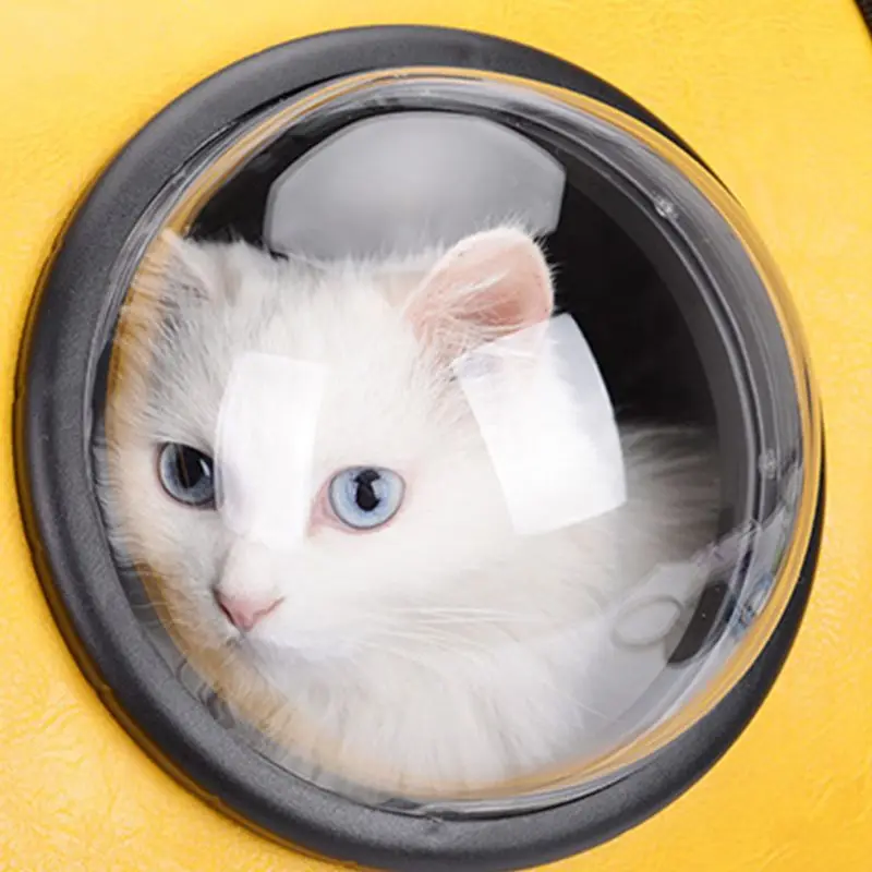 Воздухопроницаемая сумка для путешествий с изображением кота и щенка|Дорожные