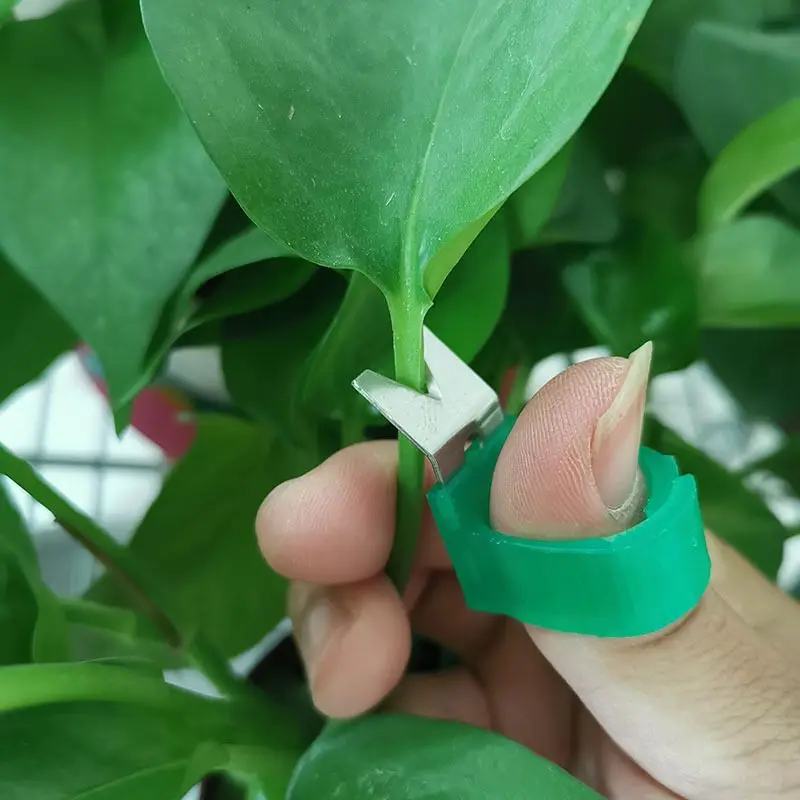 Инструмент для сбора фруктов инструмент овощей садовые инструменты v-образная