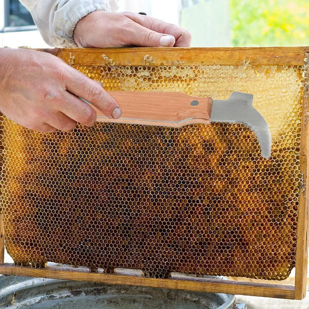 

1pcs Beekeeping Multifunctional Starting Scraper Wooden Bee Scraper Hive Tool Beekeeping Steel Bee Handle Accessories I3U7